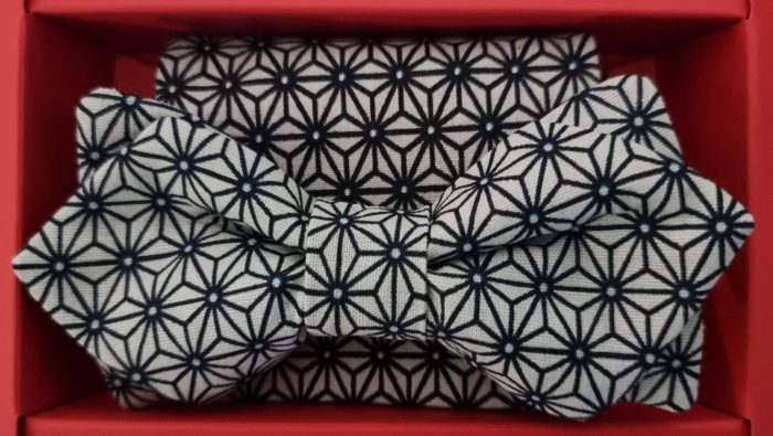 Nœud papillon gris/bleu avec sa pochette